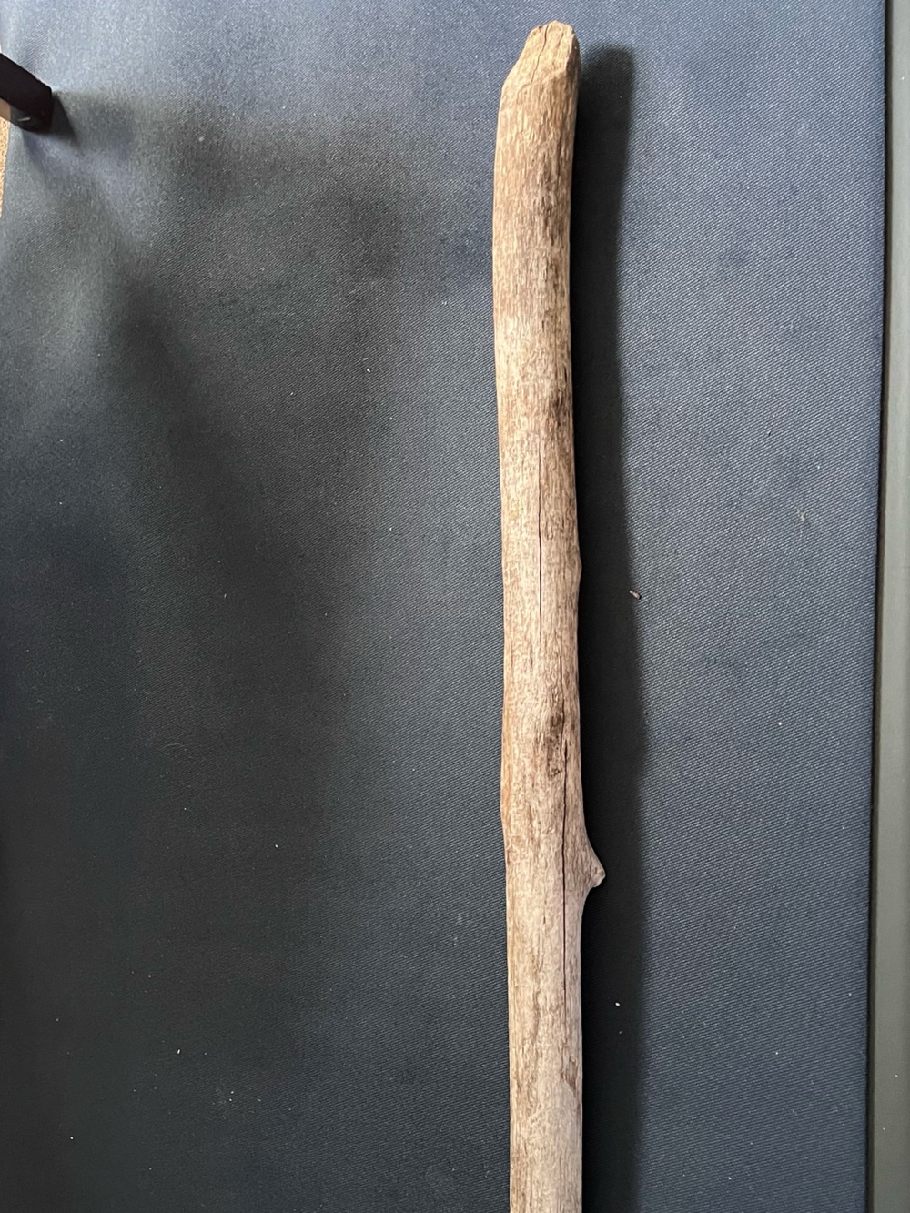 Wooden Beaver Walking Stick Hiking Trekking Durable Organic